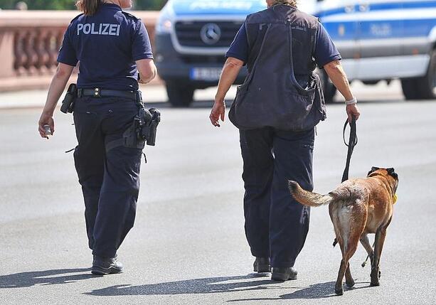 Bild vergr&ouml;&szlig;ern: Bundespolizei fehlen Hunderte Sprengstoffhunde