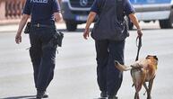 Bundespolizei fehlen Hunderte Sprengstoffhunde