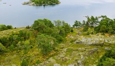 Umfrage: Mehr als jeder Zweite denkt zumindest gelegentlich an Auswanderung