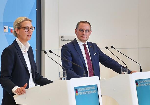 Bild vergr&ouml;&szlig;ern: Forsa: AfD zieht mit Union gleich