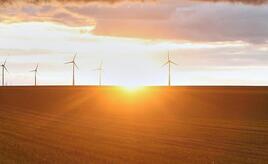 Forsa: Zwei Drittel befürworten Klimaneutralität bis 2045