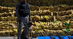 Polizeihund in Rio de Janeiro erschnüffelt zufällig Rekordmenge an Drogen