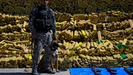 Polizeihund in Rio de Janeiro erschnüffelt zufällig Rekordmenge an Drogen