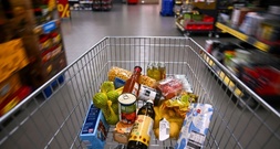 Mann stiehlt mehr als 300 Einkaufswagen in Baden-Württemberg