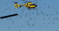 Achtjährige bei Sturz in Neandertaler-Höhle in Baden-Württemberg schwer verletzt