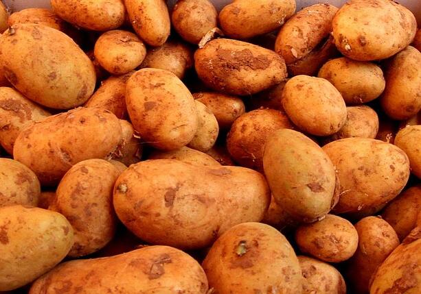 Bild vergr&ouml;&szlig;ern: Landwirtschaftliche Erzeugerpreise im Februar deutlich gesunken