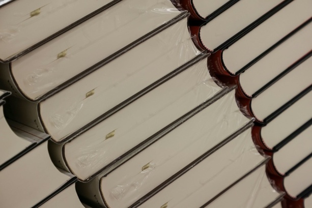 Bild vergr&ouml;&szlig;ern: Bandenbetrug mit Büchersammlungen: Mehr als fünf Jahre Haft in Hannover