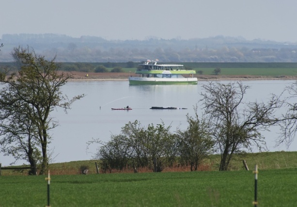 Bild vergr&ouml;&szlig;ern: Rettungsversuch für hilflosen Buckelwal in Ostsee auf Freitag verschoben