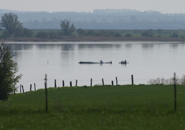 Bild vergr&ouml;&szlig;ern: Gestrandeter Wal: Rettungsaktion wird fortgesetzt - Initiator hoffnungsvoll