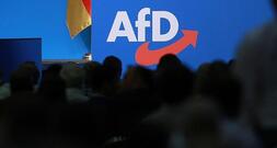 AfD treibt Aufbau einer europäischen Stiftung voran
