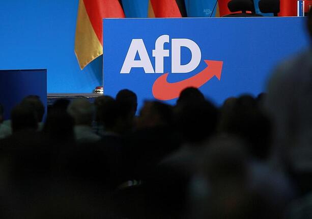 Bild vergr&ouml;&szlig;ern: AfD treibt Aufbau einer europäischen Stiftung voran
