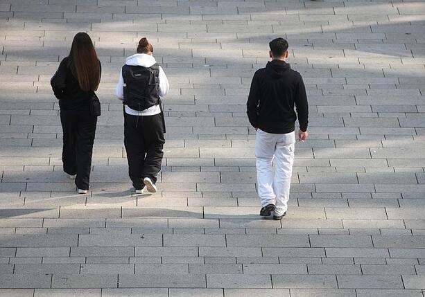 Bild vergr&ouml;&szlig;ern: Weiter klare Geschlechterunterschiede bei Ausbildungsberufen