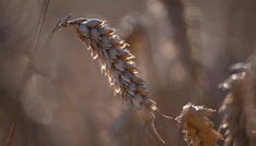 Gericht lehnt Zwangsgeld gegen Bund wegen Nitratbelastung ab