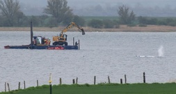 Umfrage: Bevölkerung bei Rettungsversuchen für Wal gespalten