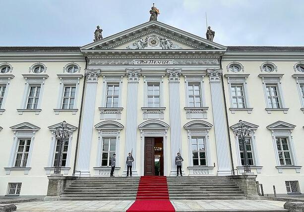 Bild vergr&ouml;&szlig;ern: Frösche aus Bellevue-Teich ziehen in Ausweichquartier