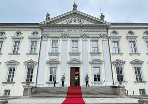 Frösche aus Bellevue-Teich ziehen in Ausweichquartier