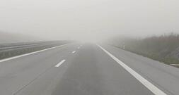 Fratzscher für autofreie Sonntage und Tempolimit wegen Energiekrise