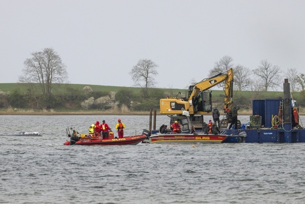 Bild vergr&ouml;&szlig;ern: Waldrama vor Insel Poel: Spezialschute für Transport erreicht Ostsee