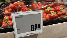 IW hält Anstieg der Inflationsrate auf 4,6 Prozent für möglich