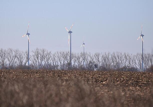 Bild vergr&ouml;&szlig;ern: Schneider drängt Koalition zu mehr Unterstützung bei Energiewende