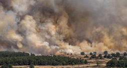 Feuer auf Truppenübungsplatz in den Niederlanden