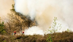 Mindestens fünf Waldbrände in den Niederlanden - Unterstützung aus Deutschland