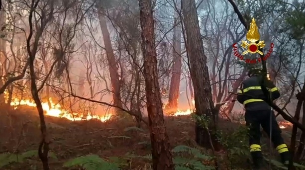 Bild vergr&ouml;&szlig;ern: Waldbrand in der Toskana: Rund 3500 Menschen müssen ihre Häuser verlassen