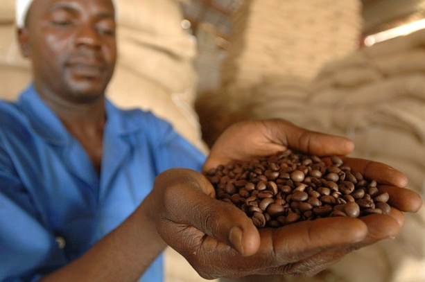 Bild vergr&ouml;&szlig;ern: 38 Euro pro Kopf für Fairtrade-Produkte: Umsatz erreicht 2025 neues Rekordhoch