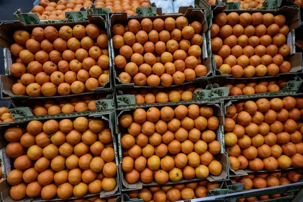 Bild vergr&ouml;&szlig;ern: Bundesgerichtshof verhandelt in Baumarkt-Streit um Farbe Orange