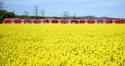 Bahn-Infrastruktur in Deutschland 2025 kaum verbessert - DB-Spitze optimistisch