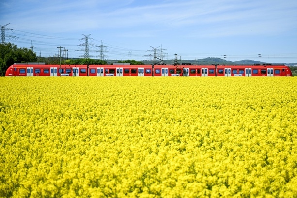 Bild vergr&ouml;&szlig;ern: Bahn-Infrastruktur in Deutschland 2025 kaum verbessert - DB-Spitze optimistisch