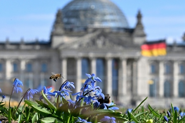 Bild vergr&ouml;&szlig;ern: Bauprojekt des Bundestags soll zu Sparzwecken gestoppt werden