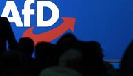 Innenminister warnen vor AfD-Regierung in Sachsen-Anhalt