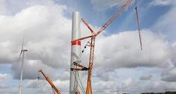Grüne fordern Überarbeitung des Klimaschutzprogramms