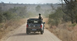 Nach Tötung zweier Touristen: Verstärkte Sicherheitsmaßnahmen in Südafrikas Kruger-Park