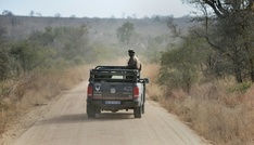 Nach Tötung zweier Touristen: Verstärkte Sicherheitsmaßnahmen in Südafrikas Kruger-Park