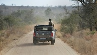 Nach Tötung zweier Touristen: Verstärkte Sicherheitsmaßnahmen in Südafrikas Kruger-Park