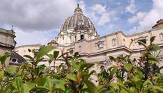 Papst ruft zur 