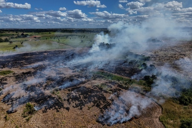 Bild vergr&ouml;&szlig;ern: Abholzung in Brasiliens Amazonasgebiet auf niedrigstem Stand seit 2019