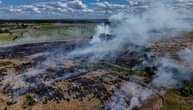 Abholzung in Brasiliens Amazonasgebiet auf niedrigstem Stand seit 2019