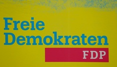 Kubicki will FDP zur Partei der Wirtschaftsreformen machen