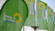 Kritiker von Grünen-Parteireform klagen gegen geplante Urabstimmung