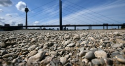 Studie: Deutschland drohen Milliardenkosten durch extreme Hitze