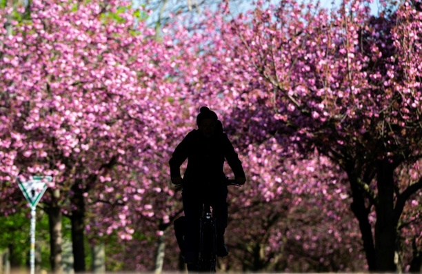 Bild vergr&ouml;&szlig;ern: Wetterbilanz: Frühjahr in Deutschland war eines der mildesten seit Messbeginn