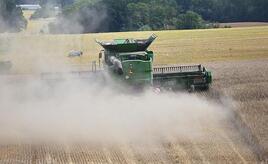 Bayer warnt vor Ernteausfällen durch Hormus-Blockade