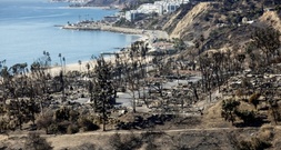 Feuer in Los Angeles: Mutmaßlicher Brandstifter von Pacific Palisades vor Gericht