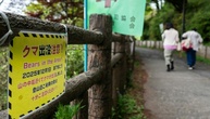 Schulschließungen in japanischer Stadt wegen streunenden Bären