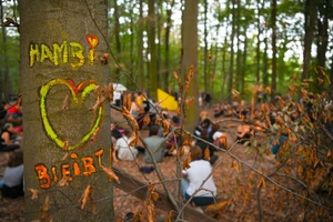 Hambacher Wald soll zu Wildnis werden: Einigung über dauerhaften Schutz