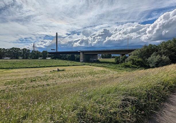 Bild vergr&ouml;&szlig;ern: Lenkungskreis für gesperrte Bonner Rheinbrücke nimmt Arbeit auf