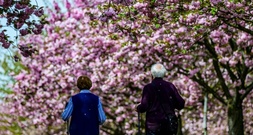 Rentenerhöhung um 4,24 Prozent tritt zum 1. Juli in Kraft